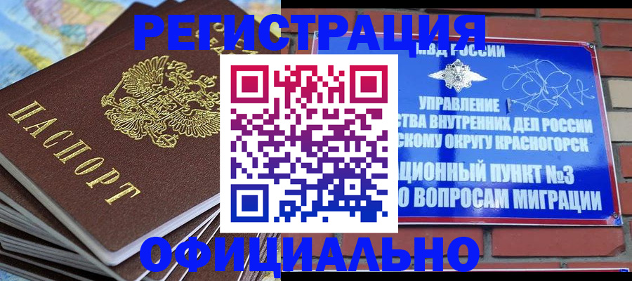 прописка 2025 в Камышине